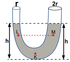 في الشكل المقابل انبوبة ذات شعبتين قطر احداهما ضعف الاخر صب بها كمية من الماء ، تكون العلاقة بين الضغط عند كلا من النقاط  K , L , M  كالاتي :